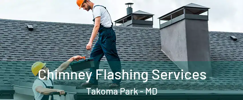 Chimney Flashing Services Takoma Park - MD