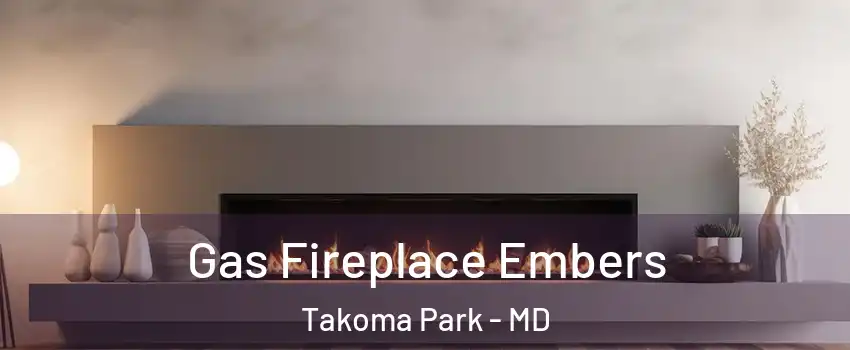  Gas Fireplace Embers Takoma Park - MD