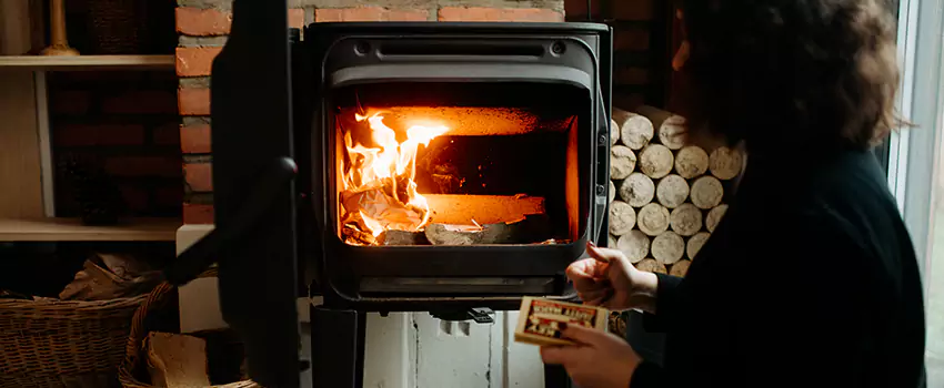 Hearthstone Wood Stoves Fireplace Repair in Takoma Park, Maryland